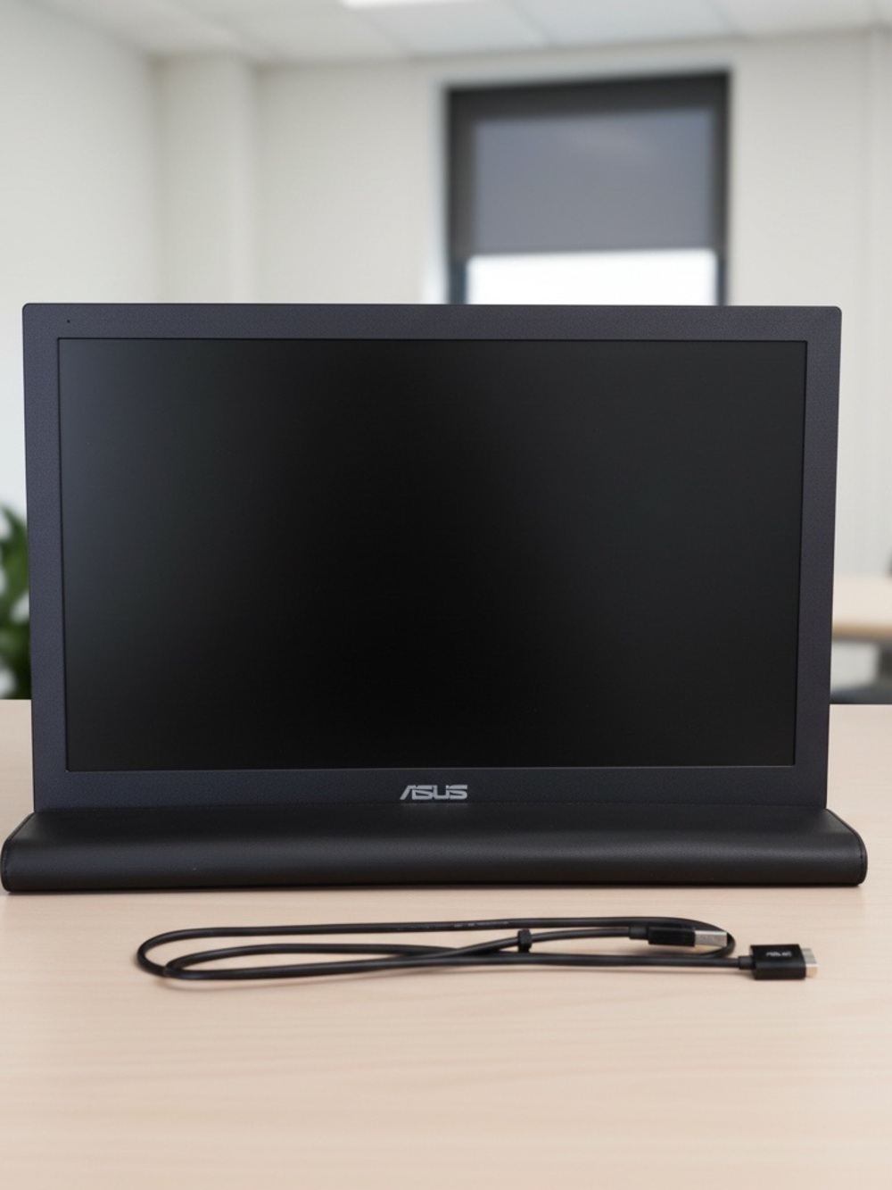 ASUS MB168B 15.6 Inch USB Portable Monitor Ultra-Slim + USB Cable & Case
